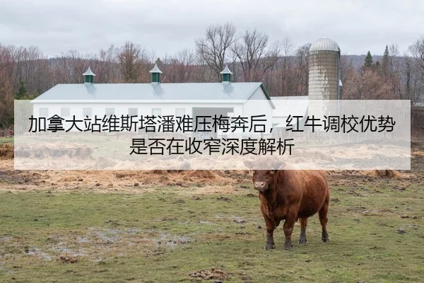 加拿大站维斯塔潘难压梅奔后，红牛调校优势是否在收窄深度解析