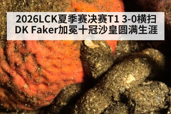 2026LCK夏季赛决赛T1 3-0横扫DK Faker加冕十冠沙皇圆满生涯